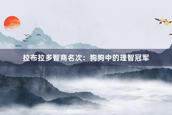 拉布拉多智商名次：狗狗中的理智冠军
