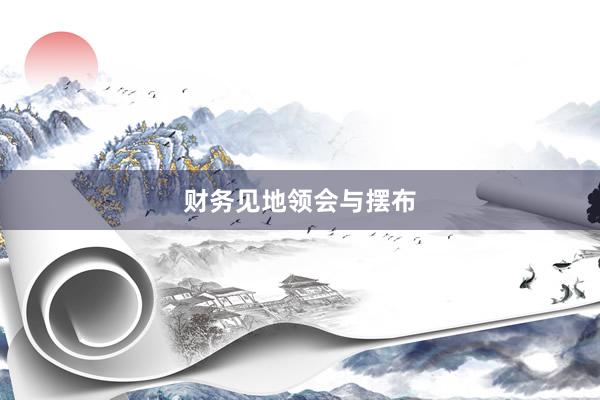 财务见地领会与摆布
